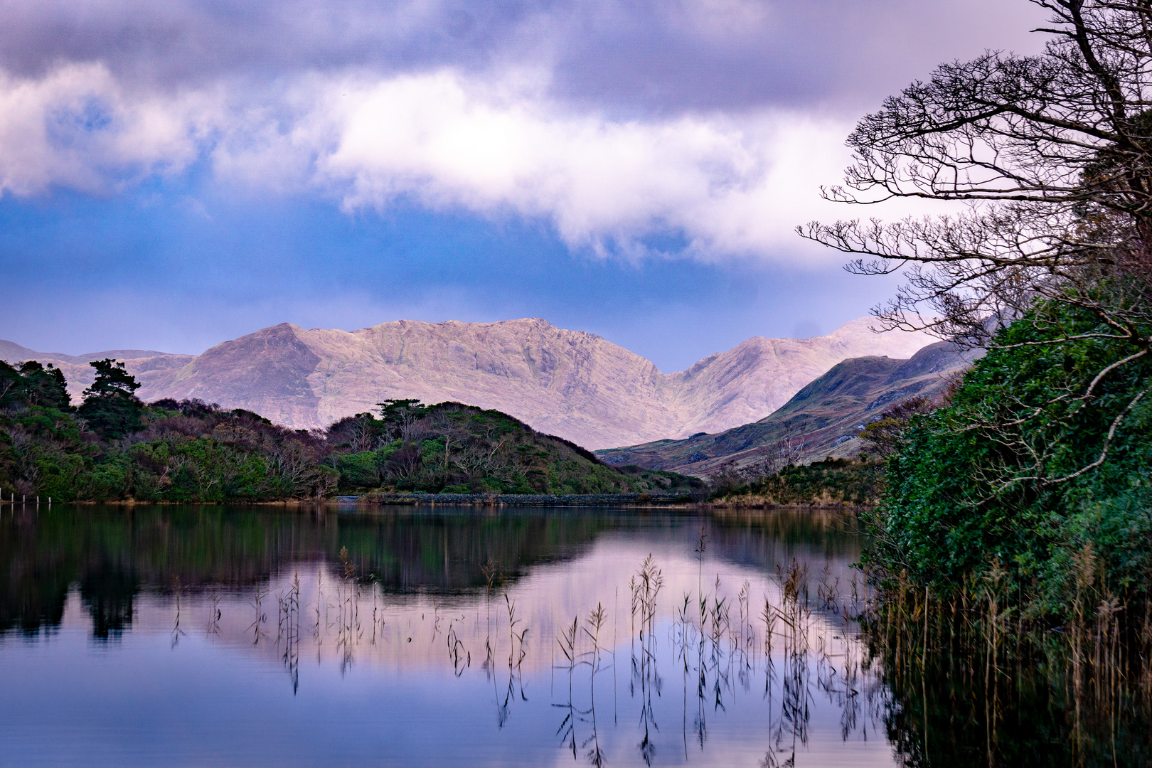 Dream of Connemara