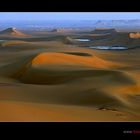 Dream of Desert