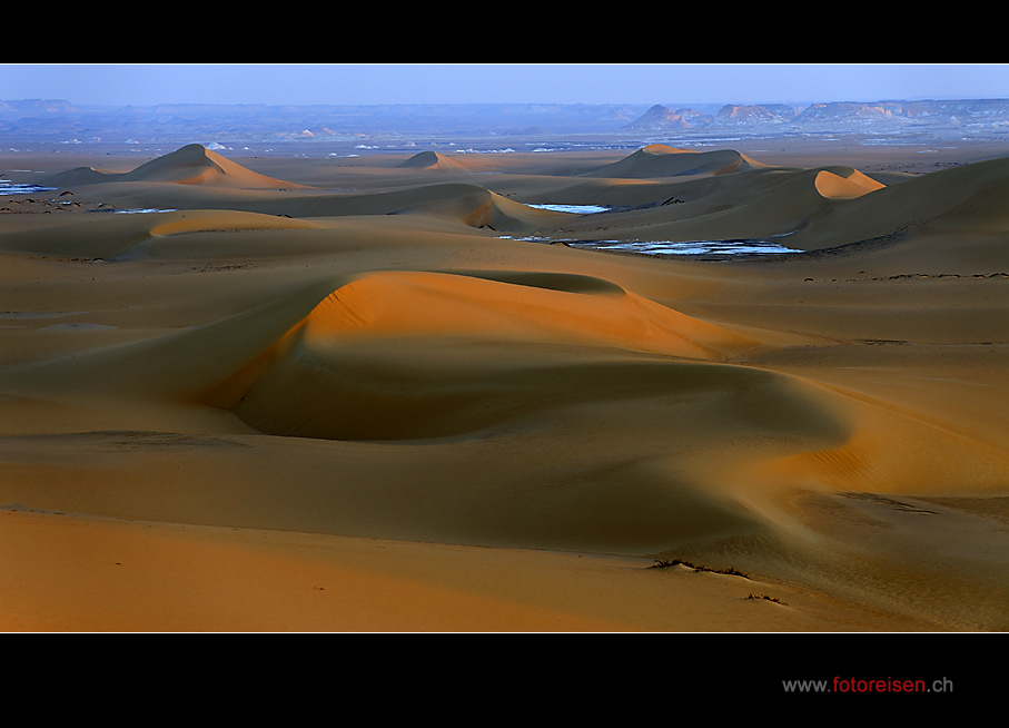 Dream of Desert