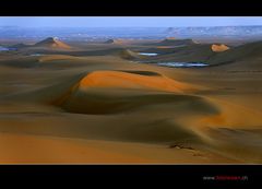 Dream of Desert