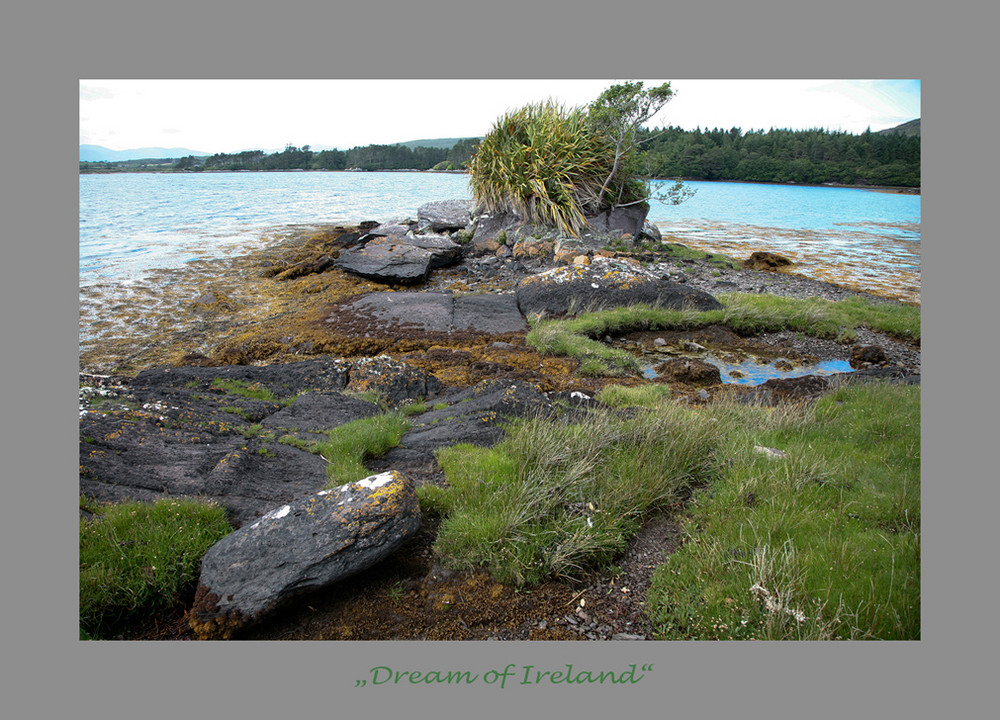 Dream of Ireland