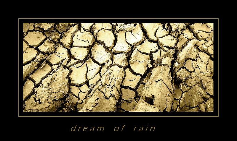 Dream of Rain