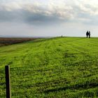 Dream on Langeoog