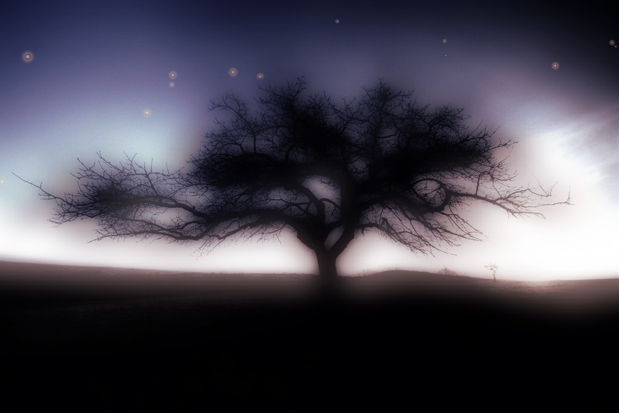 Dream-Tree