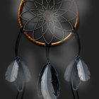 ~dreamcatcher~