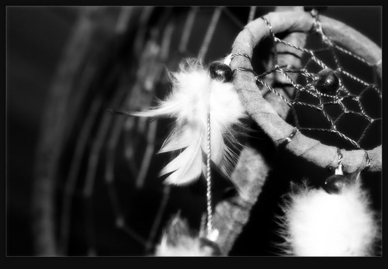 dreamcatcher