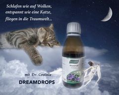 Dreamdrops - DAS Schlafmittel für Sie!