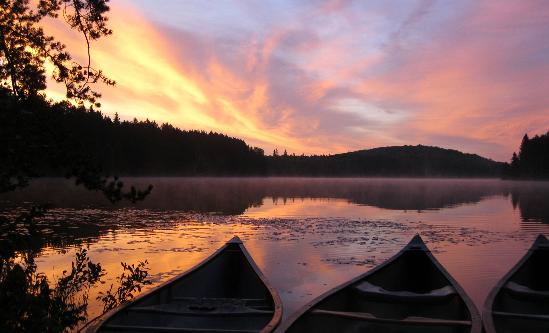 Dreamin' of Canada..