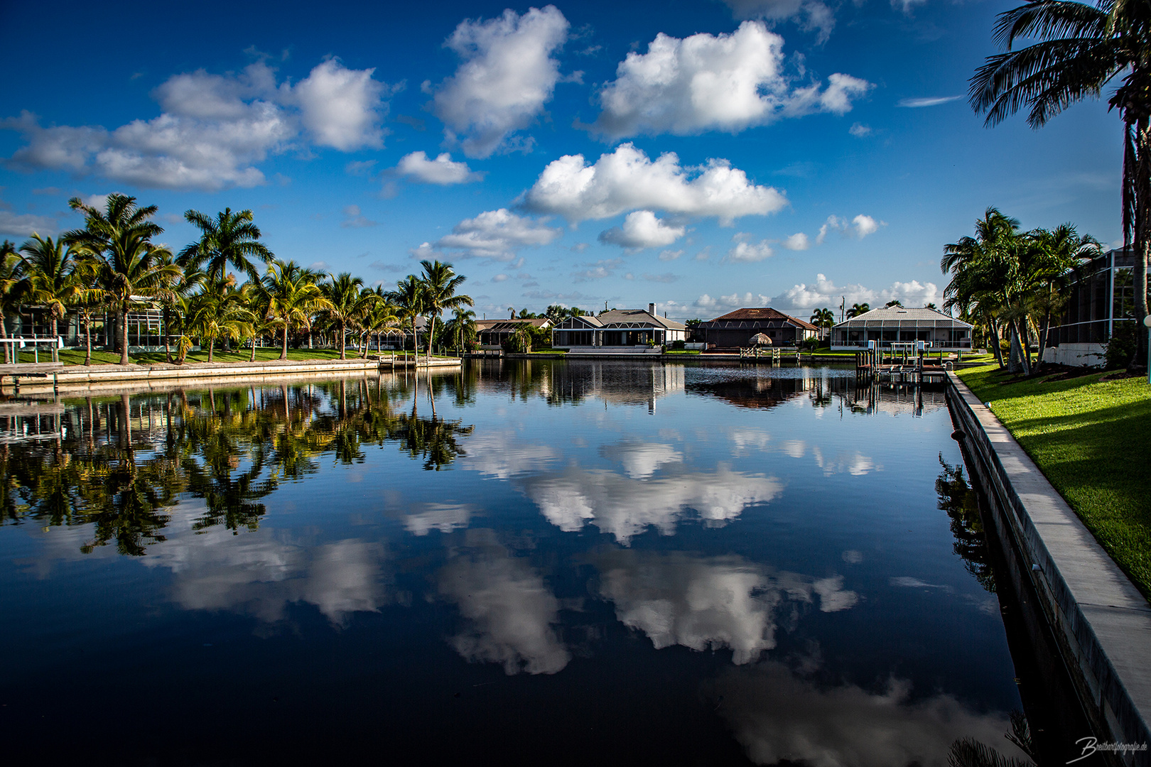 Dreaming in Florida