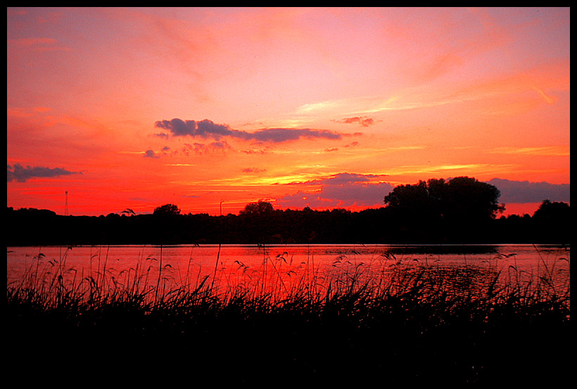 Dreaming in Red