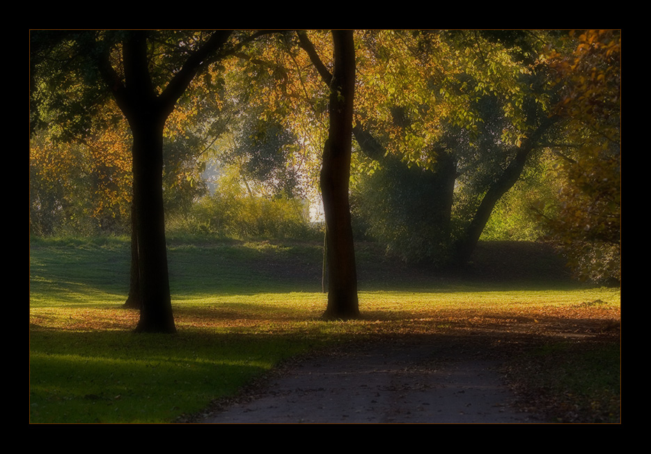 Dreaming in the park...