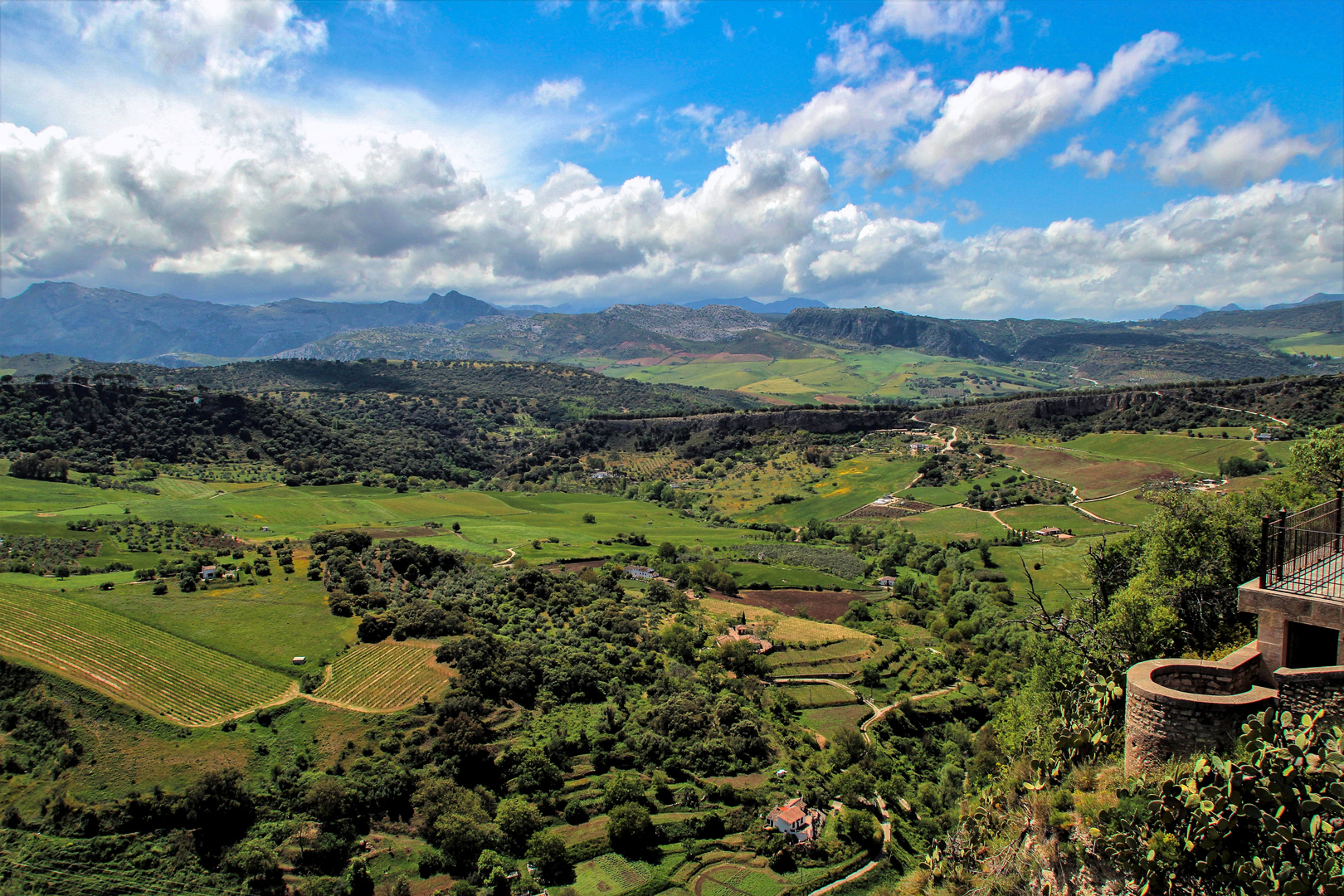 »Dreaming of Ronda«