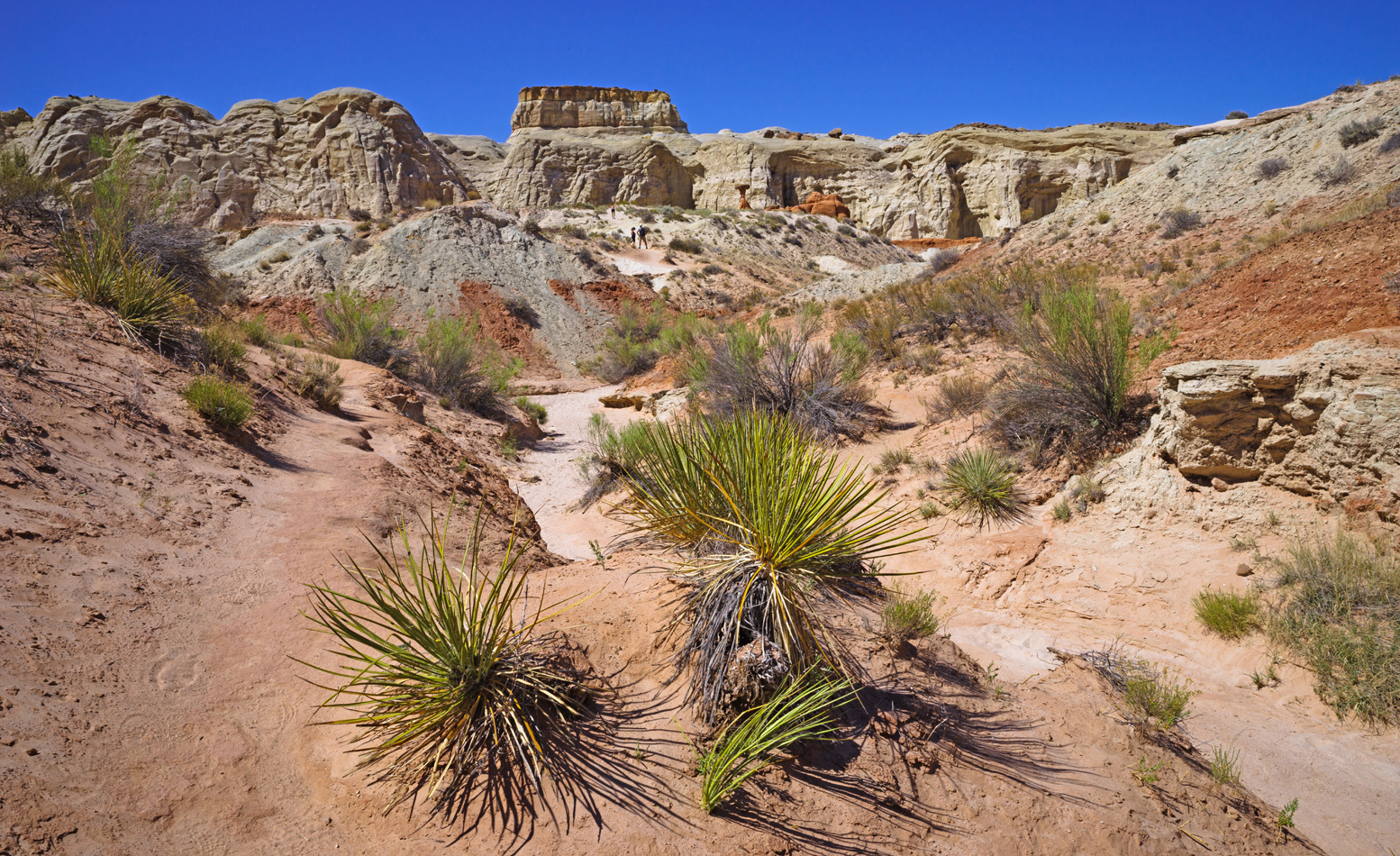 Dreaming of Southwest