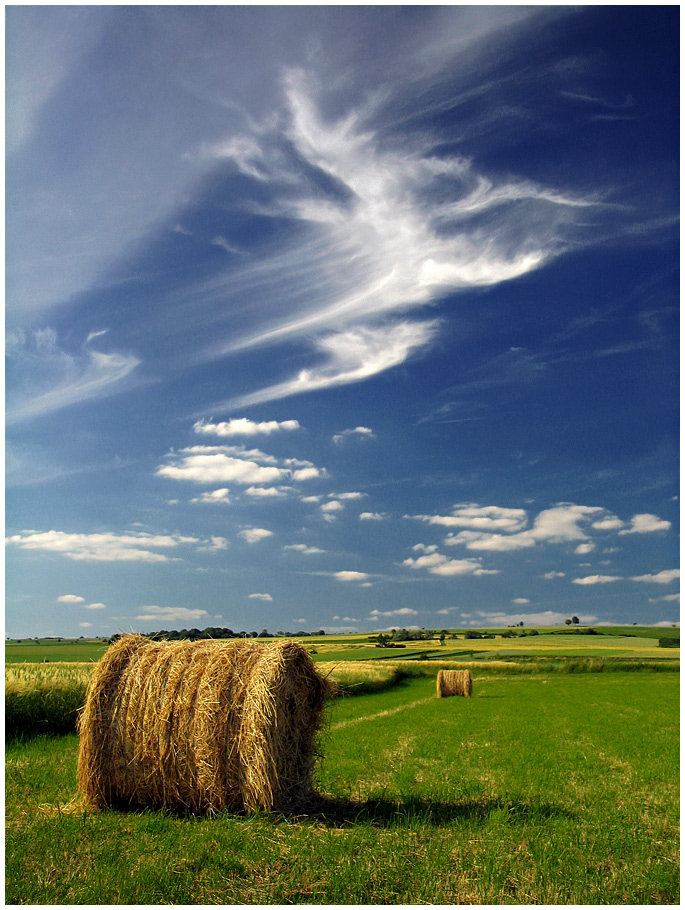 Dreaming of Summer Foto & Bild | landschaft, Äcker, felder & wiesen
