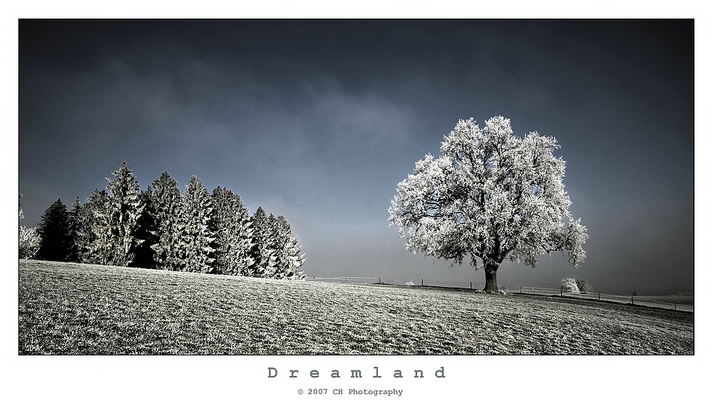 Dreamland