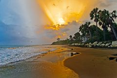 Dreamland
