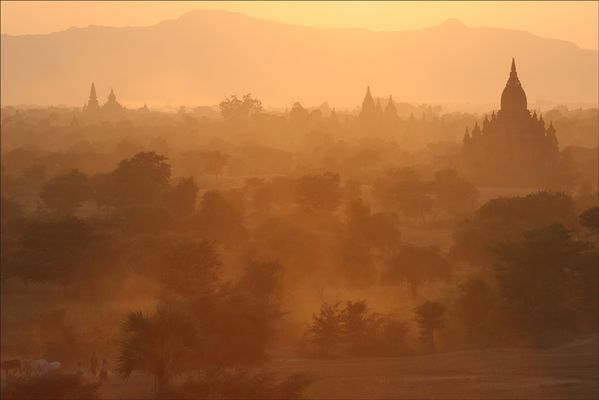 . . . dreamland . . .