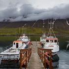 Dreamland Iceland