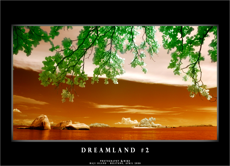 .:: DREAMLAND II ::.