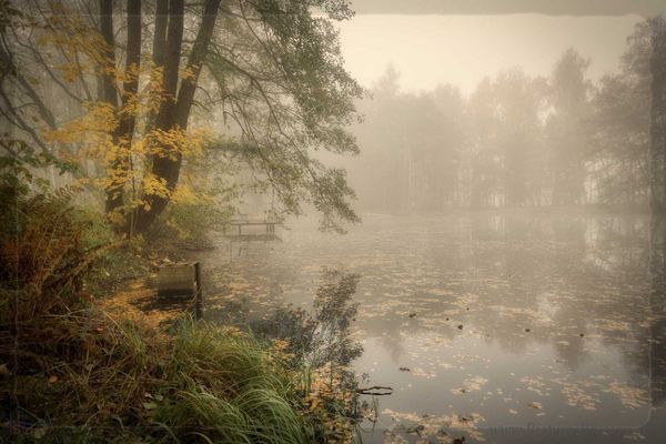 Dreamland  - Traum am See