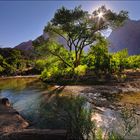 Dreamland - Zion Canyon