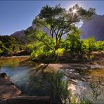 Dreamland - Zion Canyon