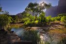 Dreamland - Zion Canyon von Olaf Dziallas