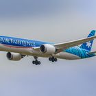 Dreamliner aus Tahiti