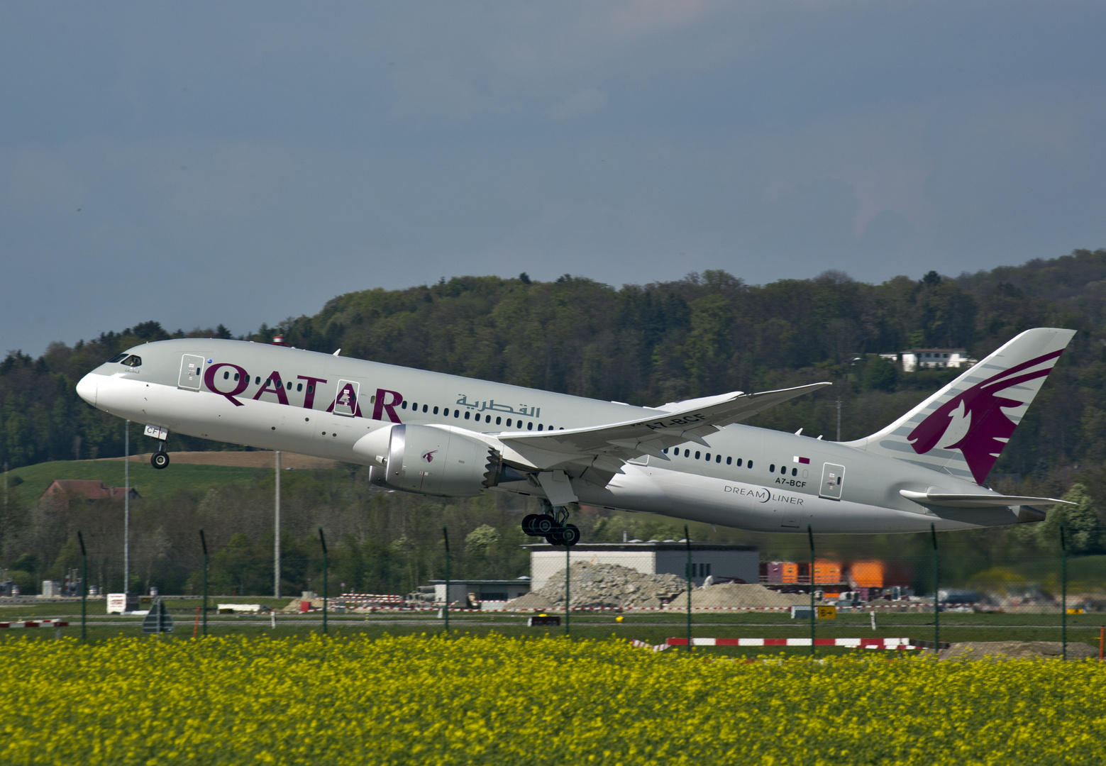 Dreamliner in ZRH