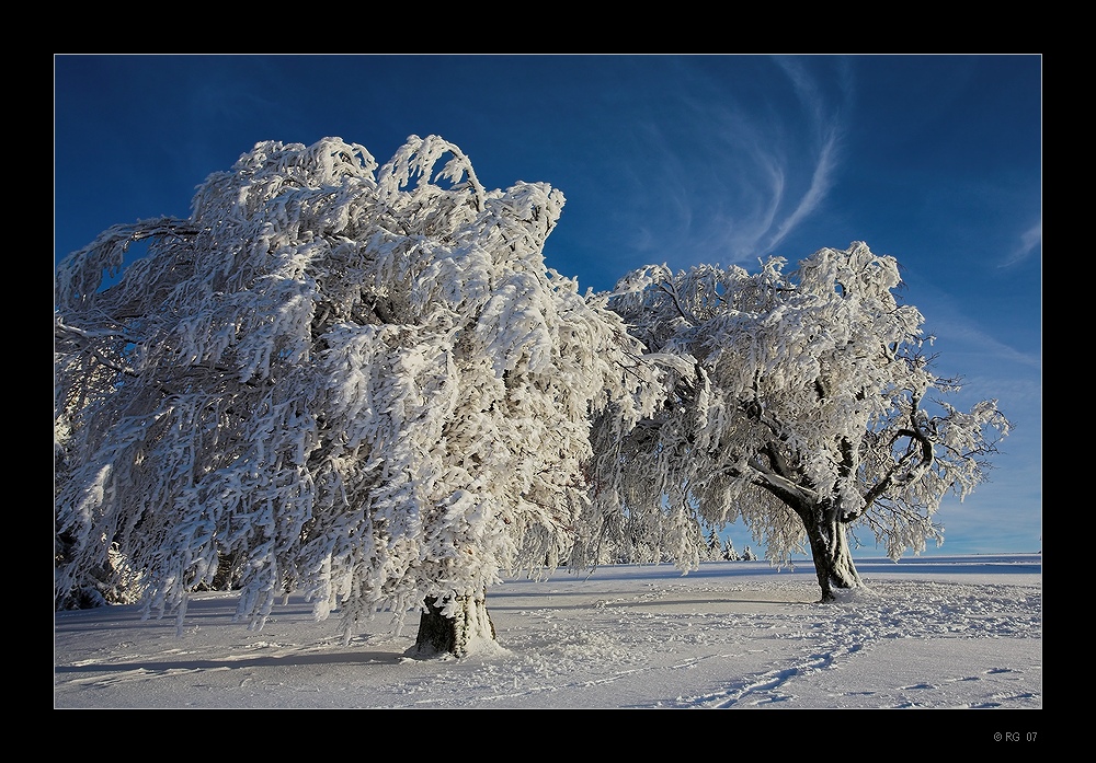 "Dreams in White and Blue"