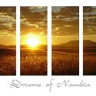 Dreams of Namibia