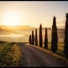 Dreams of tuscany