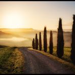 Dreams of tuscany