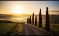 Dreams of tuscany