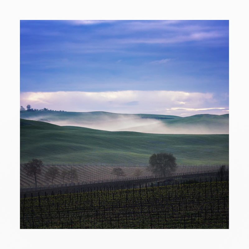 Dreams of Tuscany IV