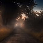 Dreamscape III - The Misty Path  (Der Nebelpfad)