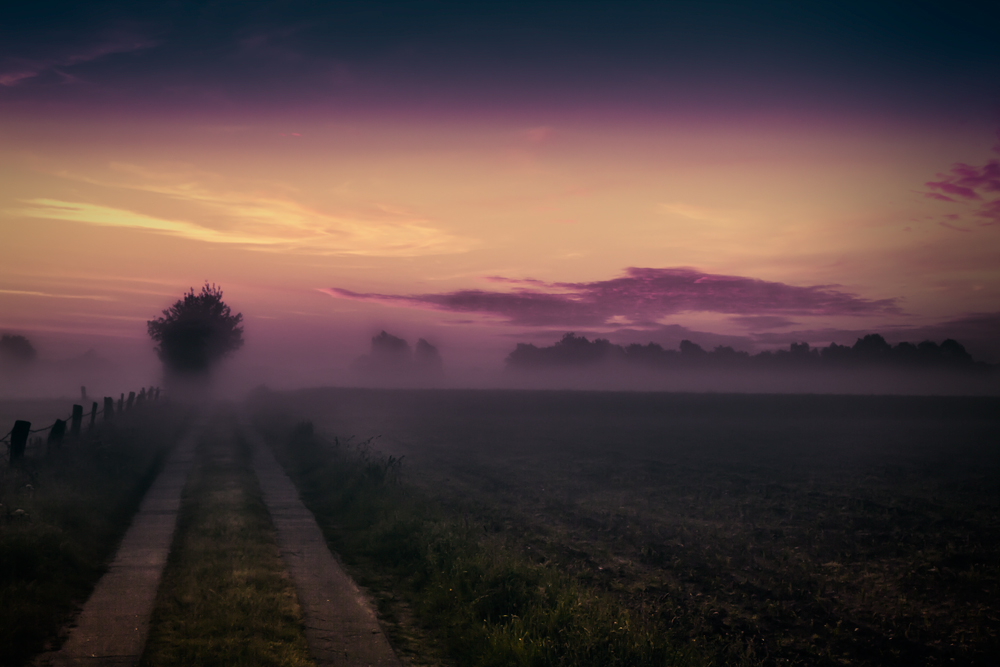 Dreamscape IV - The Misty Path II (Der Nebelpfad 2)