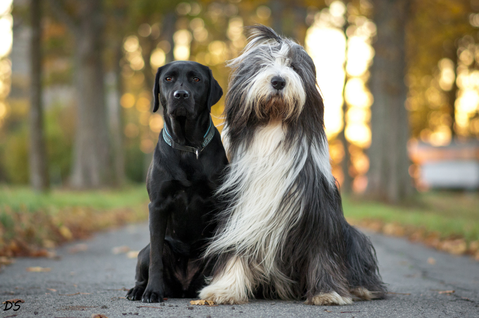 Dreamteam im Herbst