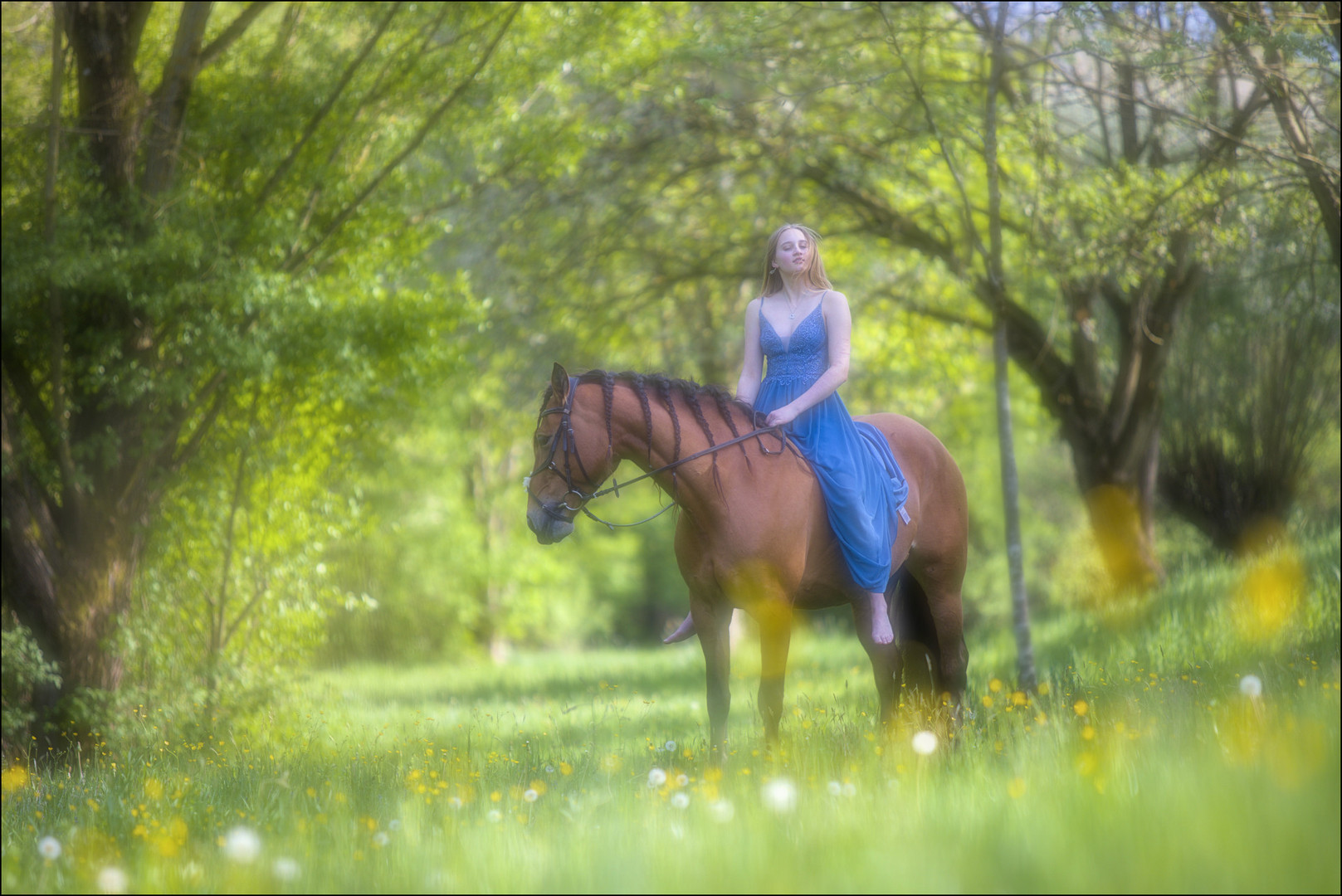 ...Dreamworld...