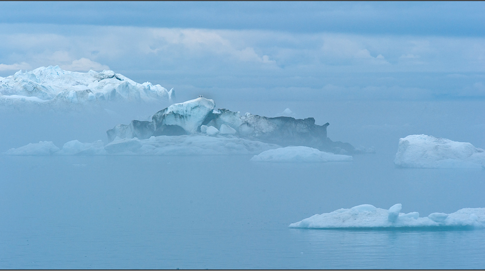 dreamy arctic view