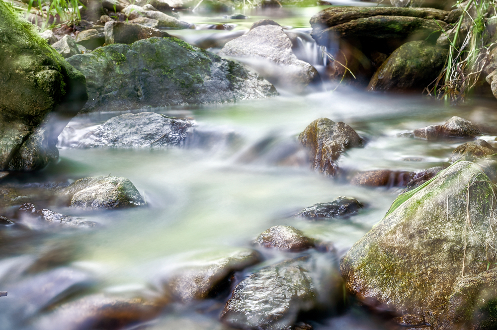 dreamy creek