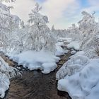 Dreamy stream - Verträumter Bach