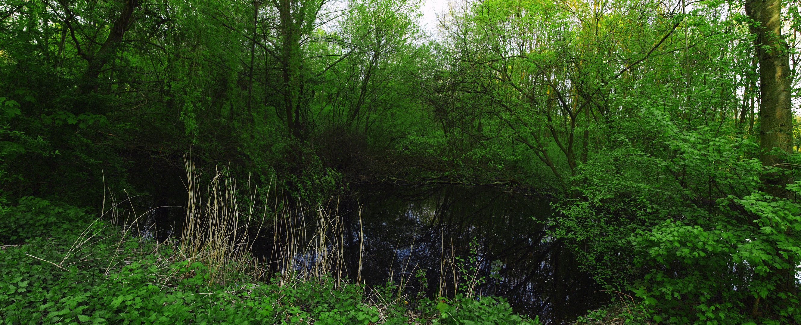 Dreckiges Loch im Frühling Foto & Bild landschaft, bach, fluss & see