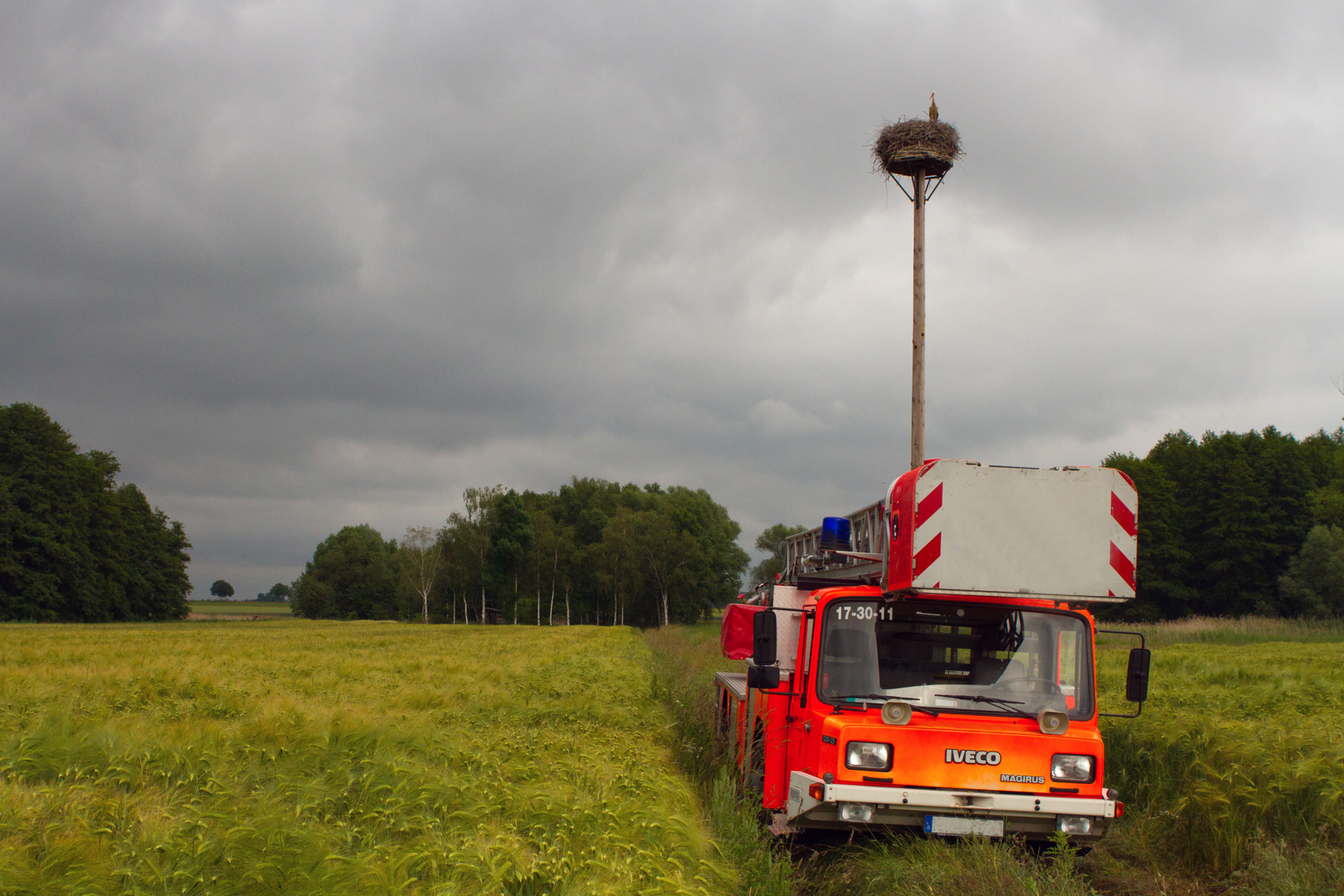 Drehleiter unter Storchennest