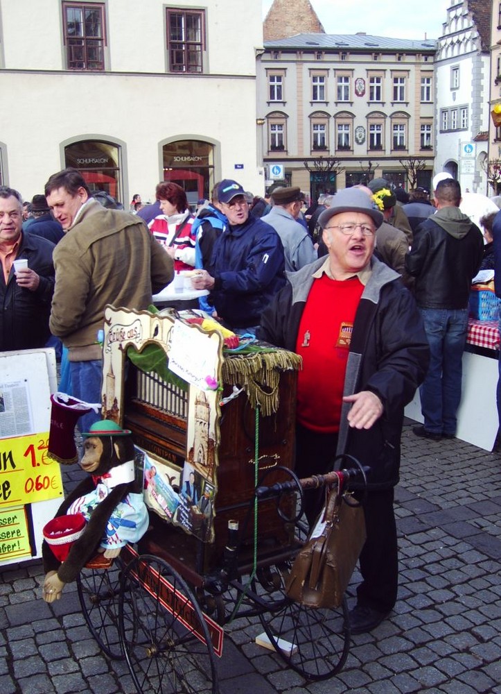 Drehorgelmann in Naumburg