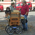 Drehorgelspieler im Holländischen Viertel / Potsdam