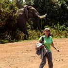 Dreht euch nicht um, ein Elefant geht um....