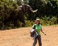 Dreht euch nicht um, ein Elefant geht um.... von cambernd 