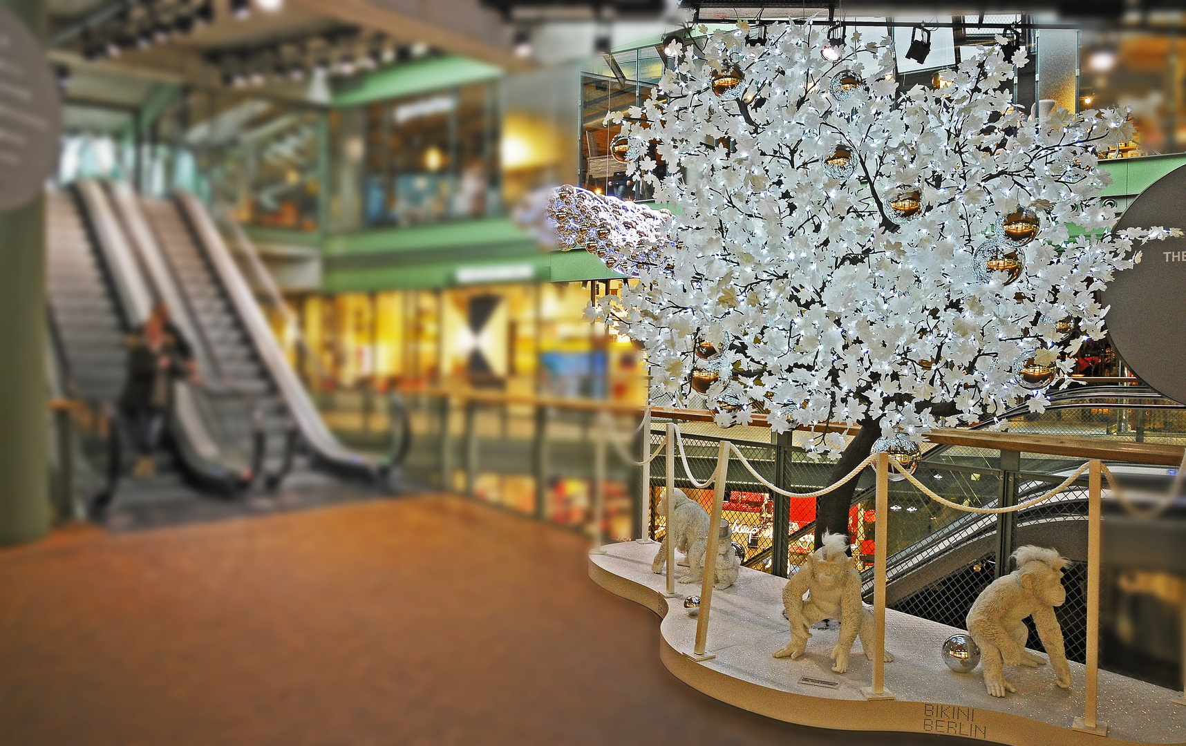 DREI AFFEN Foto & Bild deutschland, europe, berlin Bilder auf