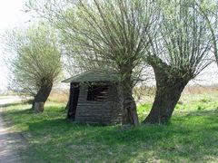 Drei alte Grazien am Dabitzer Hafen